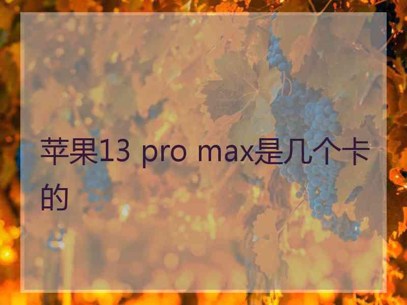 苹果13 pro max是几个卡的