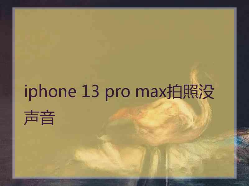 iphone 13 pro max拍照没声音