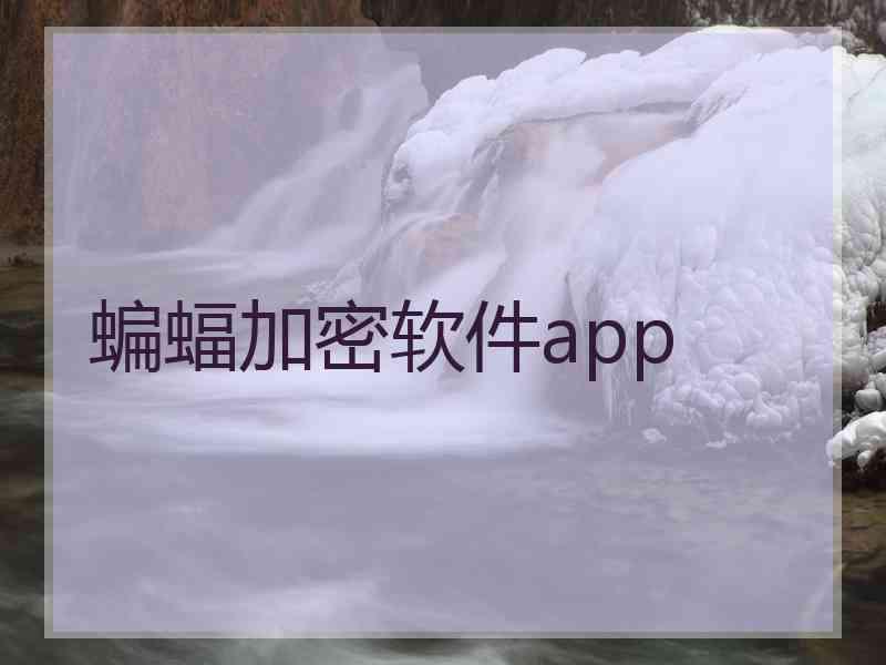 蝙蝠加密软件app