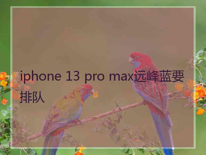 iphone 13 pro max远峰蓝要排队