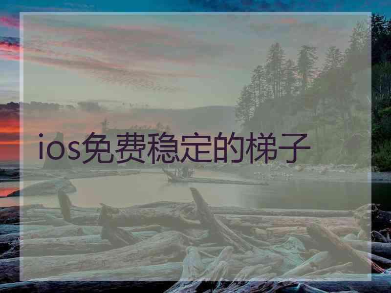 ios免费稳定的梯子