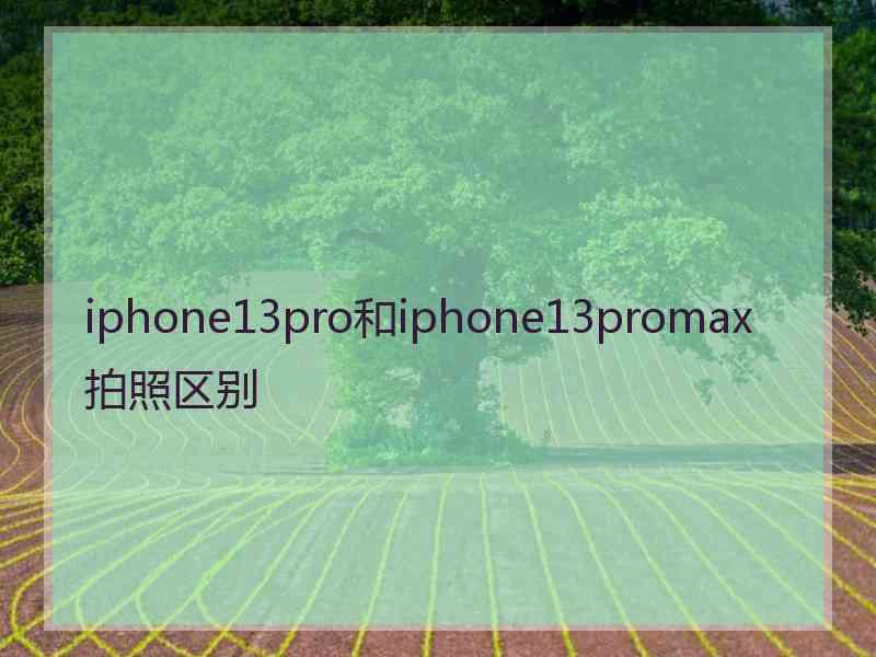 iphone13pro和iphone13promax拍照区别