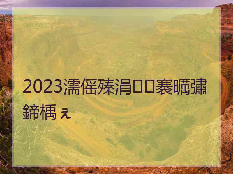 2023濡傜殝涓褰曞彇鍗楀ぇ