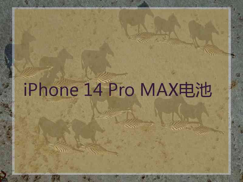 iPhone 14 Pro MAX电池