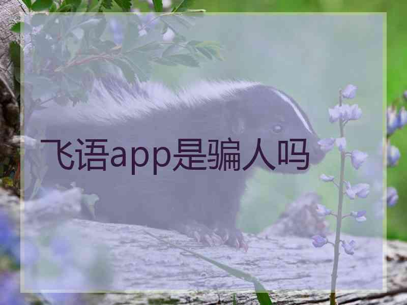 飞语app是骗人吗