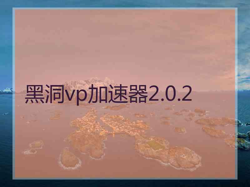 黑洞vp加速器2.0.2