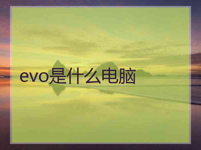 evo是什么电脑