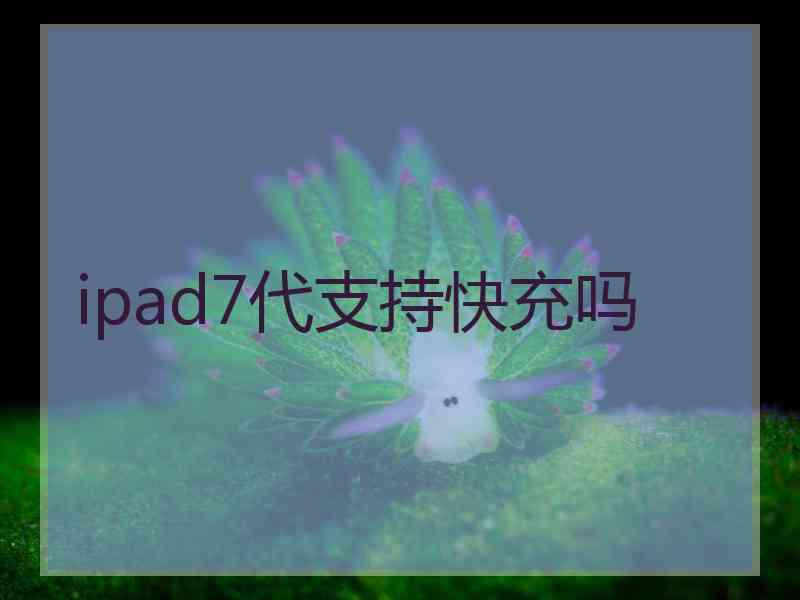 ipad7代支持快充吗