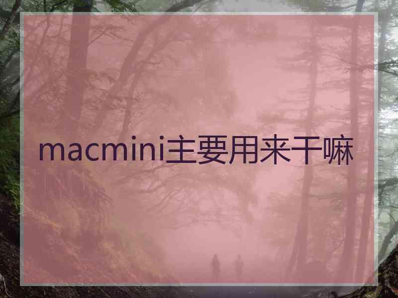 macmini主要用来干嘛