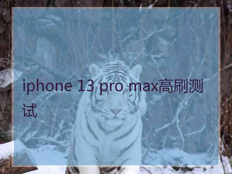 iphone 13 pro max高刷测试