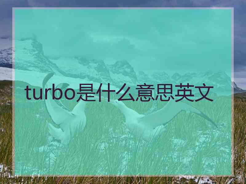 turbo是什么意思英文