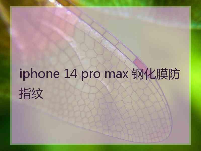 iphone 14 pro max 钢化膜防指纹