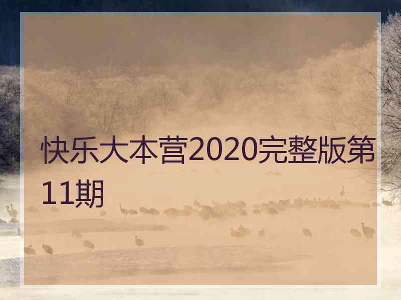 快乐大本营2020完整版第11期