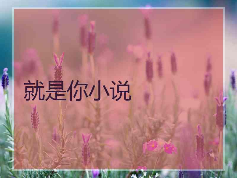 就是你小说