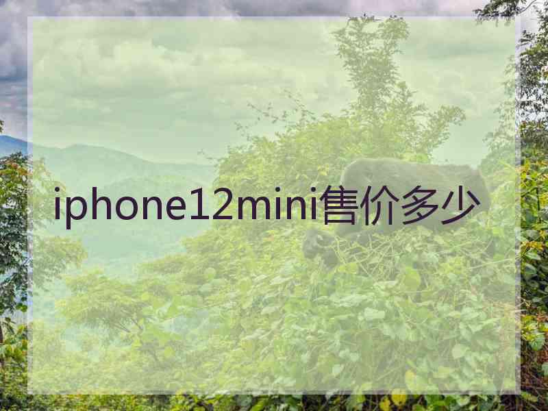 iphone12mini售价多少