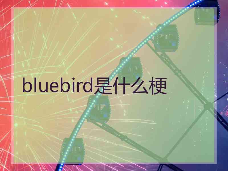 bluebird是什么梗