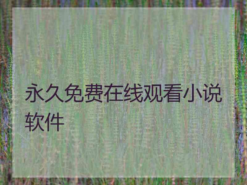 永久免费在线观看小说软件