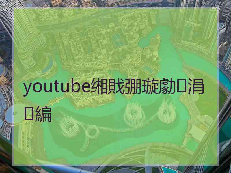 youtube缃戝弸璇勮涓編