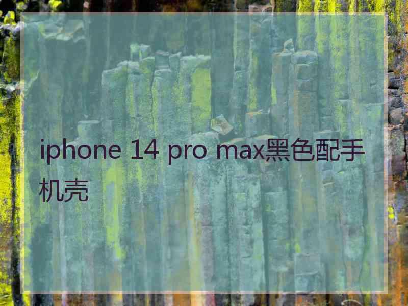 iphone 14 pro max黑色配手机壳