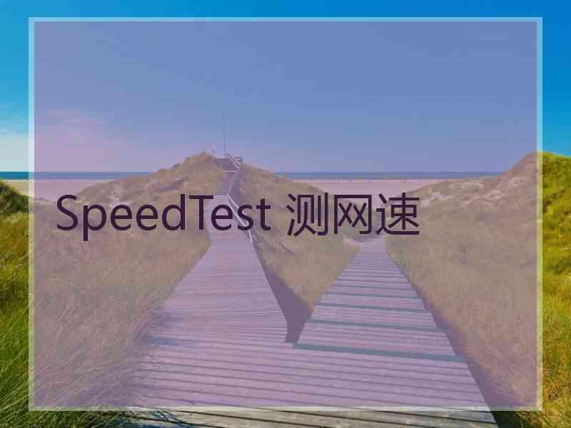 SpeedTest 测网速