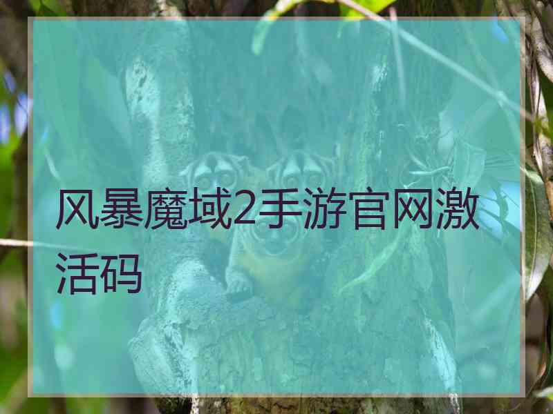 风暴魔域2手游官网激活码