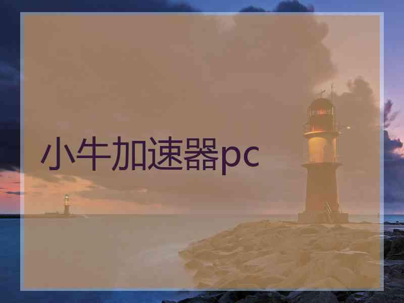 小牛加速器pc