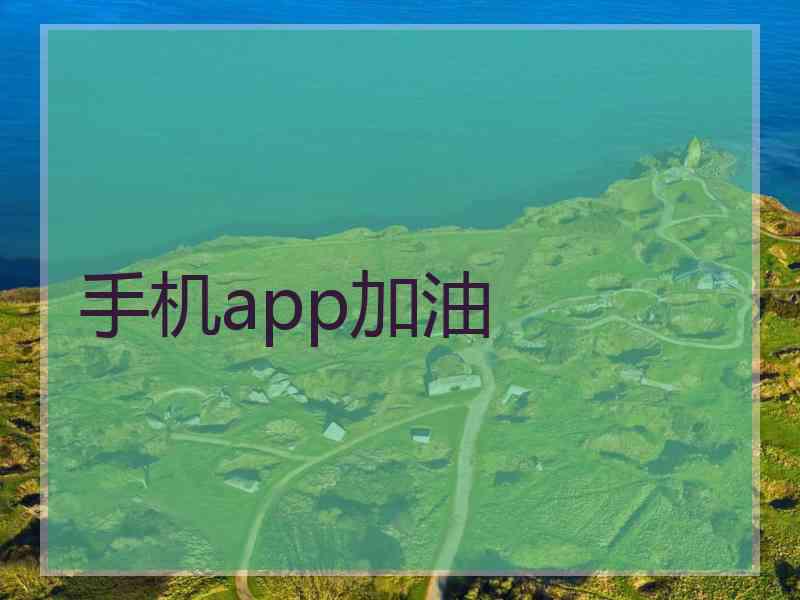 手机app加油