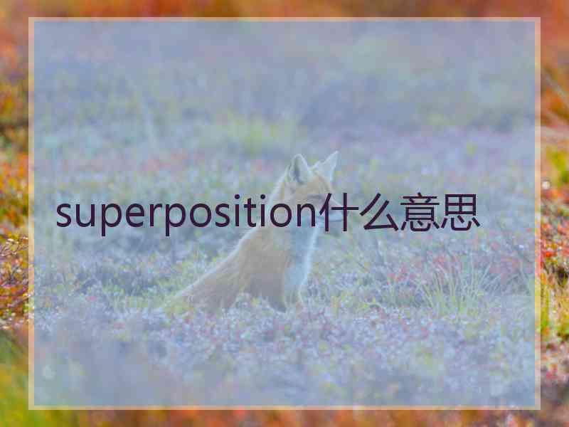 superposition什么意思