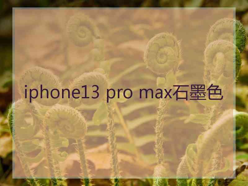 iphone13 pro max石墨色