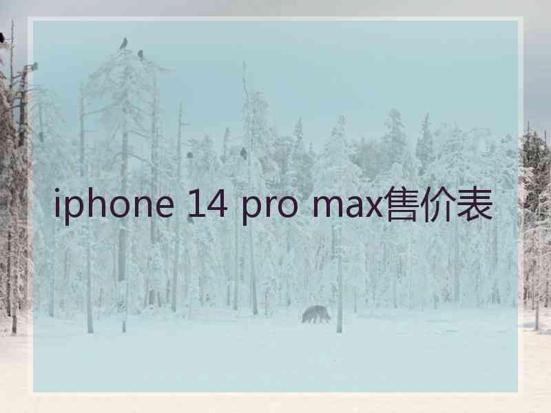 iphone 14 pro max售价表