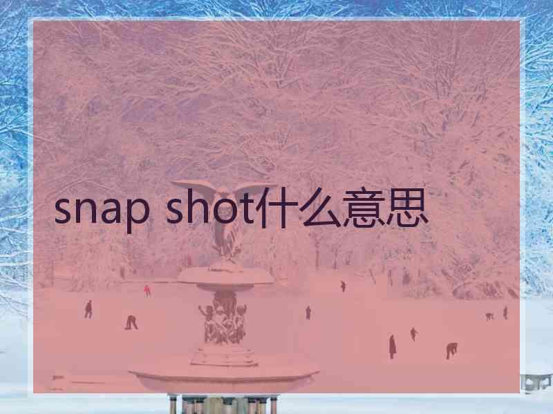 snap shot什么意思