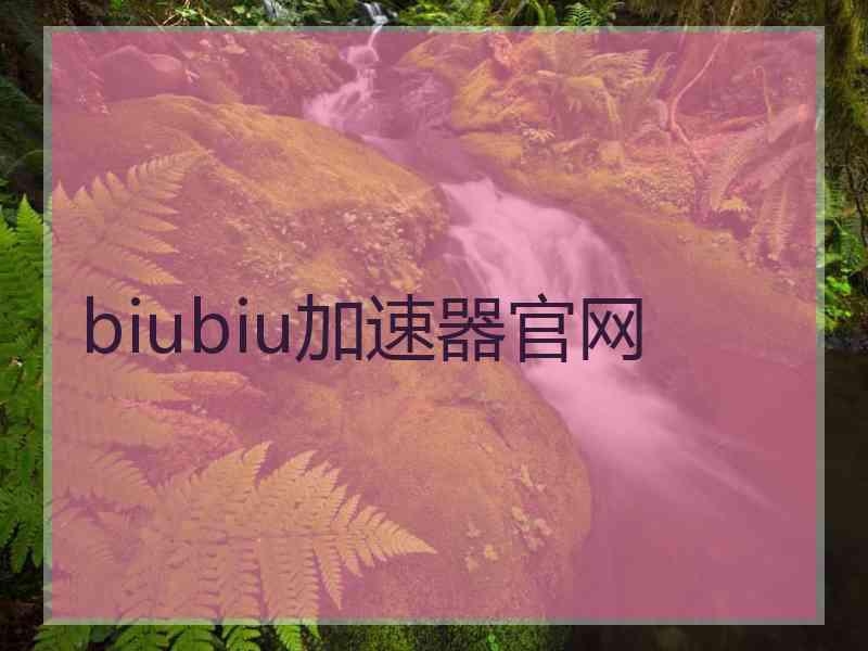 biubiu加速器官网