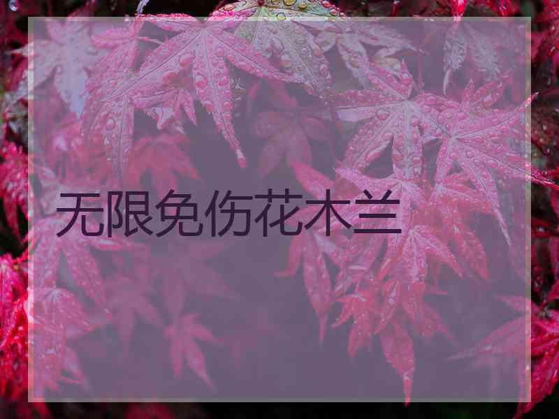 无限免伤花木兰