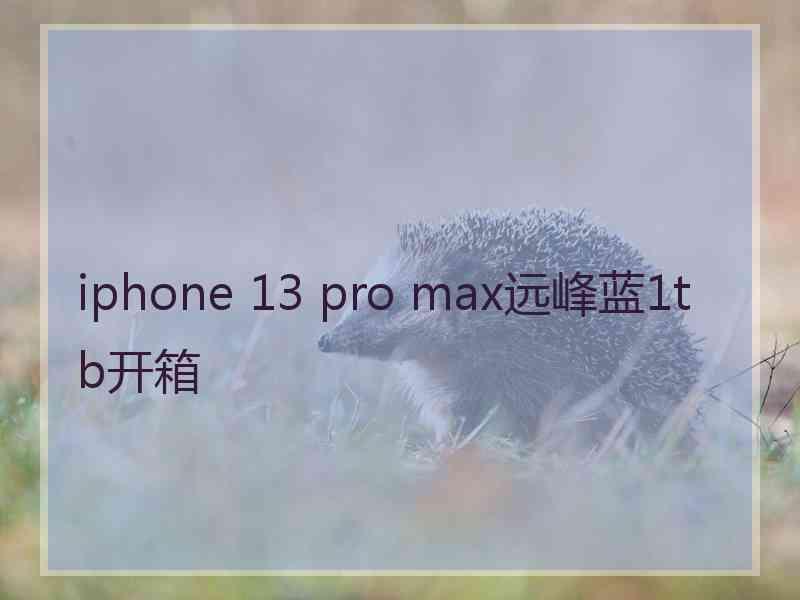 iphone 13 pro max远峰蓝1tb开箱