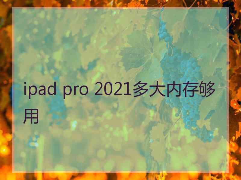 ipad pro 2021多大内存够用