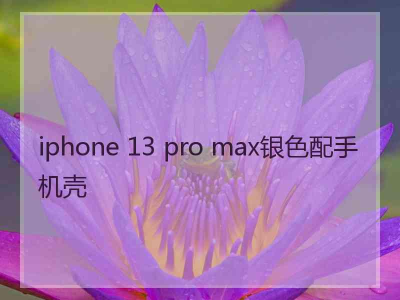 iphone 13 pro max银色配手机壳