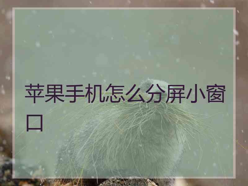 苹果手机怎么分屏小窗口