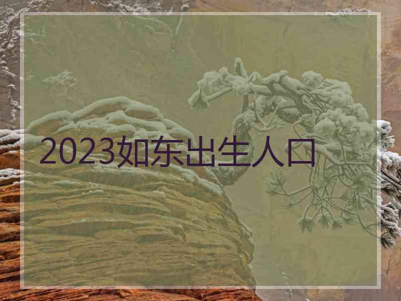 2023如东出生人口