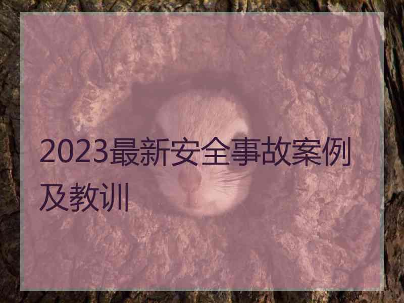 2023最新安全事故案例及教训