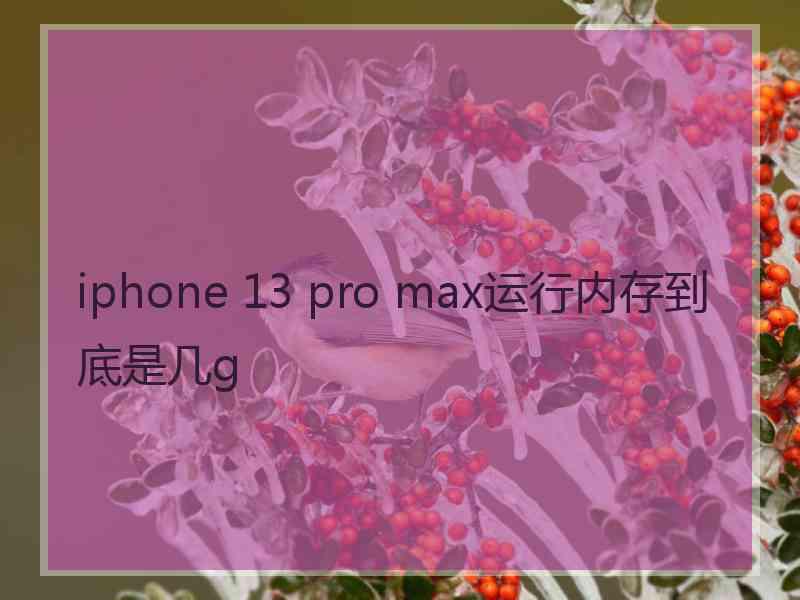 iphone 13 pro max运行内存到底是几g