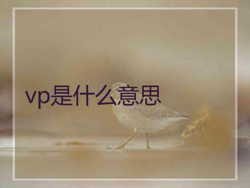 vp是什么意思