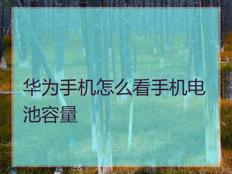 华为手机怎么看手机电池容量