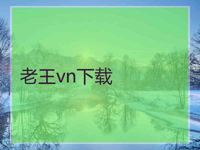 老王vn下载