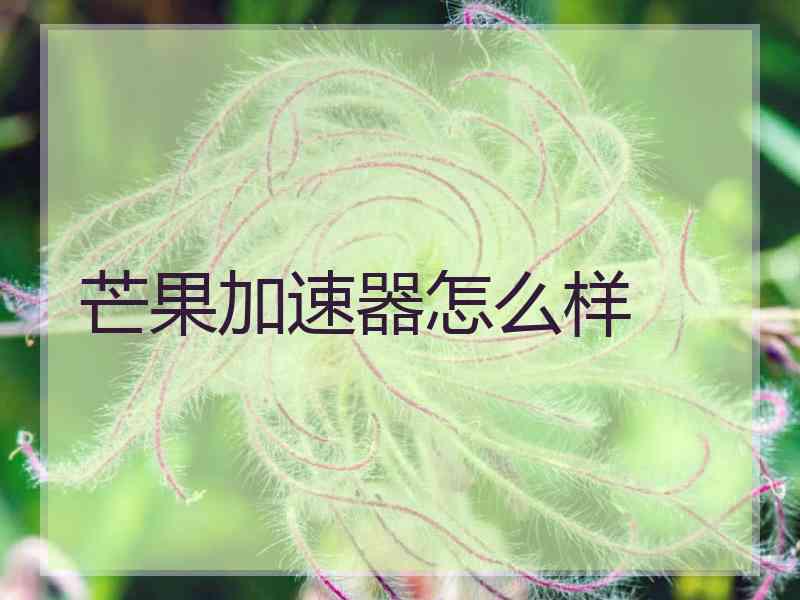 芒果加速器怎么样