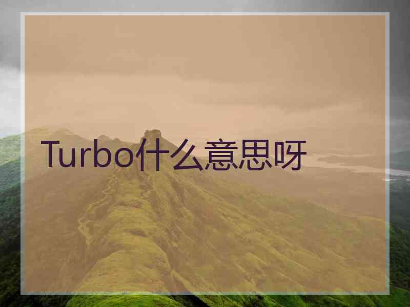 Turbo什么意思呀