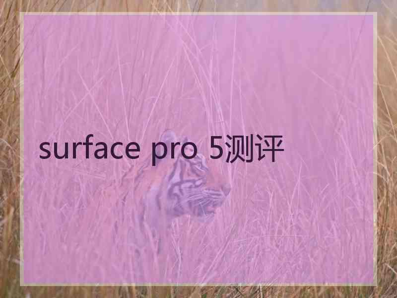 surface pro 5测评