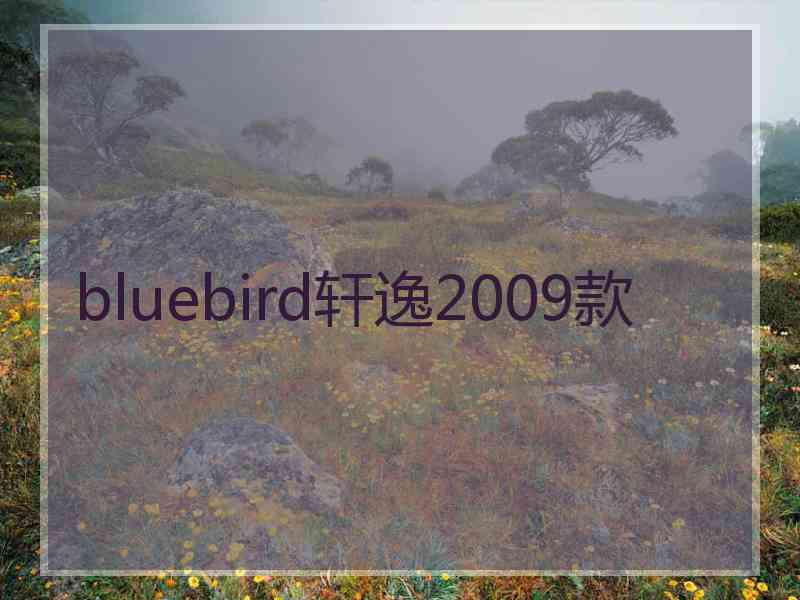 bluebird轩逸2009款