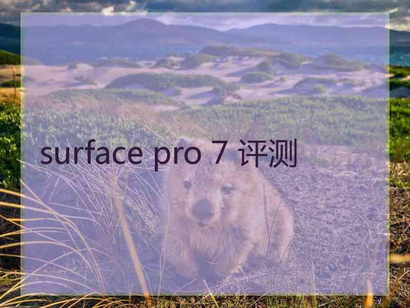 surface pro 7 评测