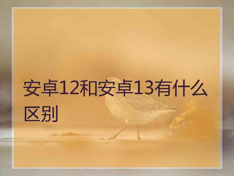 安卓12和安卓13有什么区别