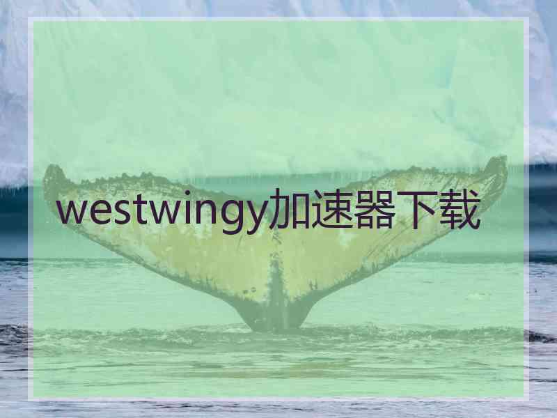 westwingy加速器下载